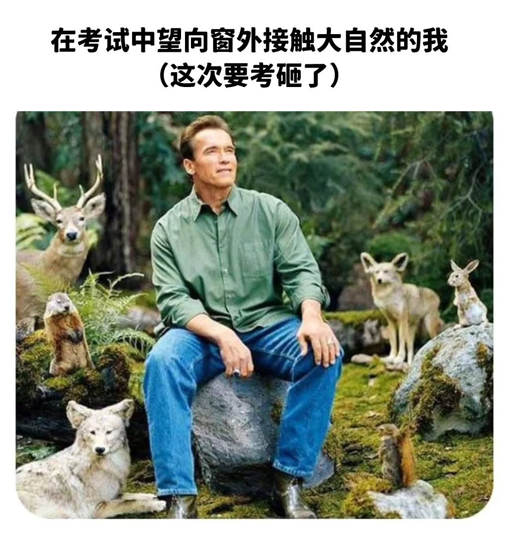 这简直就是我了meme​​​