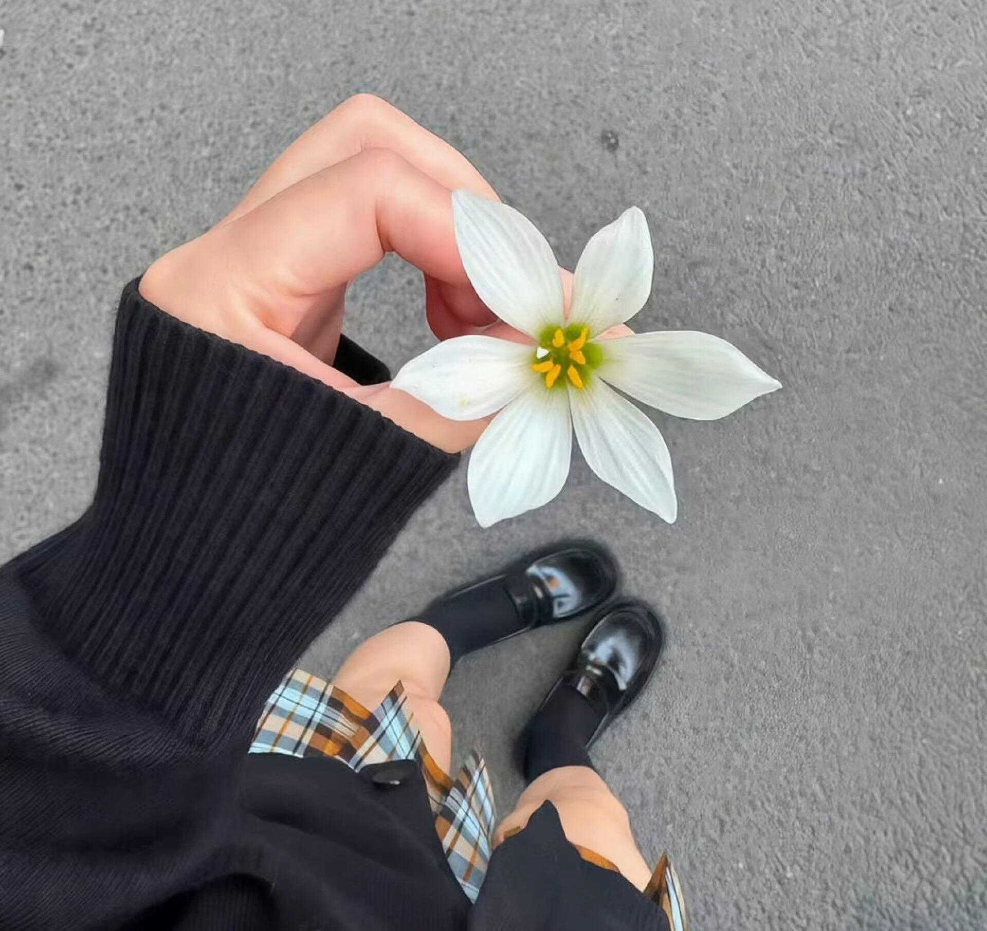 小众氛围感𝘞𝘦𝘊𝘩𝘢𝘵背景图.ᐟ‪.ᐟ盛夏壁纸大放送动漫仲夏狂欢季