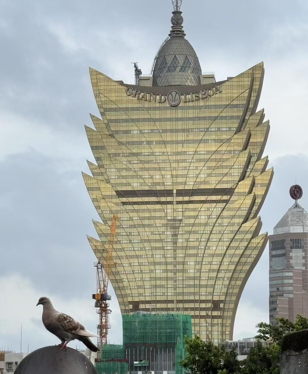 命里有时终须有，命里无时莫强求。我们姐妹三个，小时候爸爸找人给我们算命，算命的说