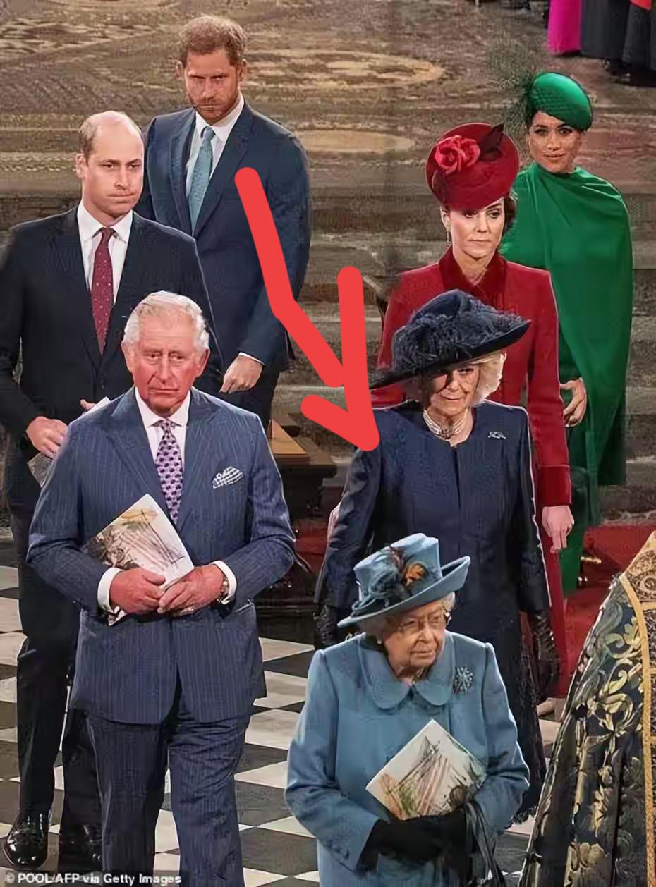 或许哈里从始至终离开王室的原因都是卡米拉吧，因为这个女人让他本应该幸福的童年被剥