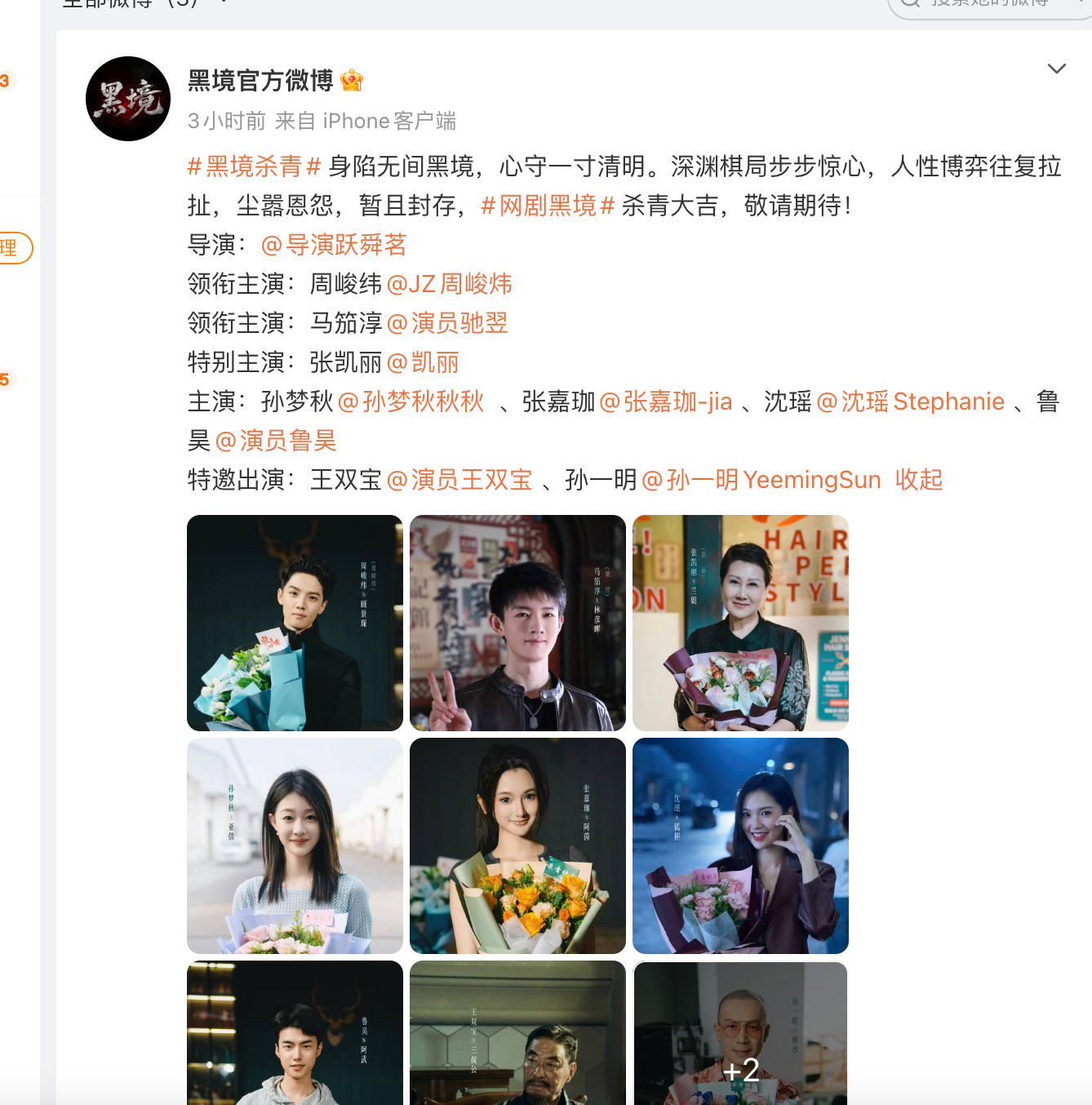 原来番位新规是张凯丽提的，但张凯丽参演的电视剧《黑境》却没有按照番位新规官宣，领