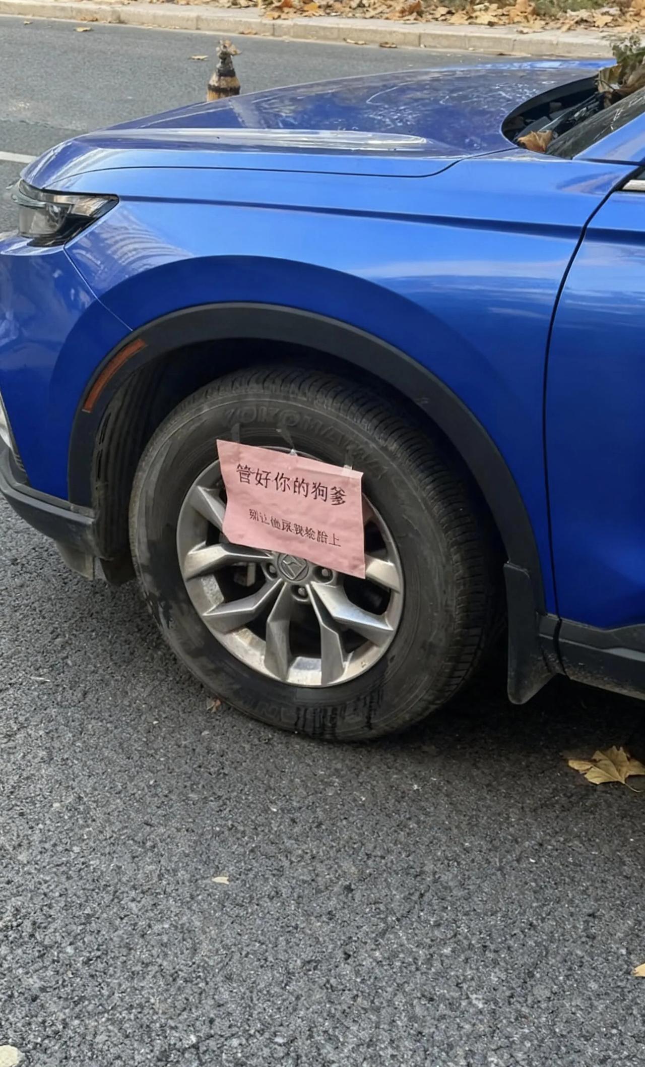 车主的无奈啊。车主的无奈啊。今天散步看到的，估计车主的车之前被狗狗光顾过，