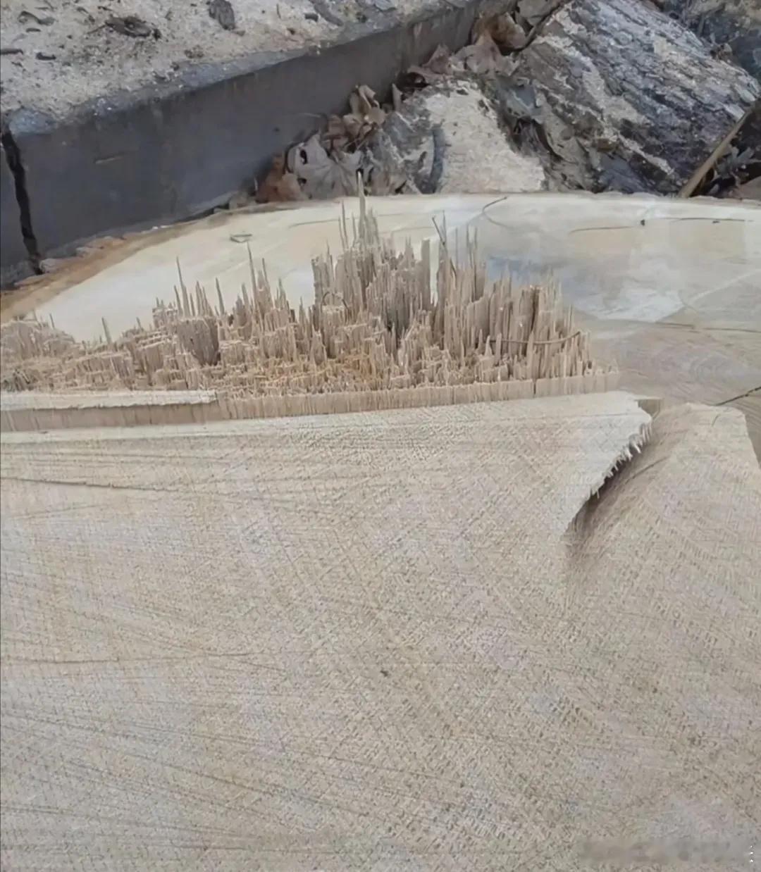 扳断的木桩，好像一座城市！