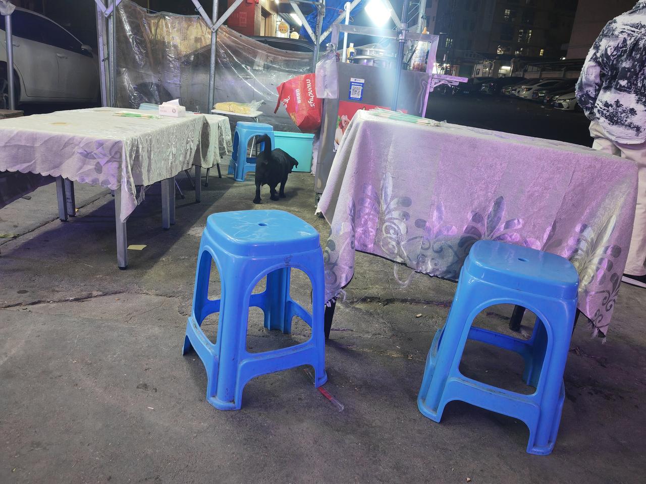 小狗狗又来找我了[呲牙笑][呲牙笑][呲牙笑]，每天都要从我脚下溜达溜达。转一圈又一圈