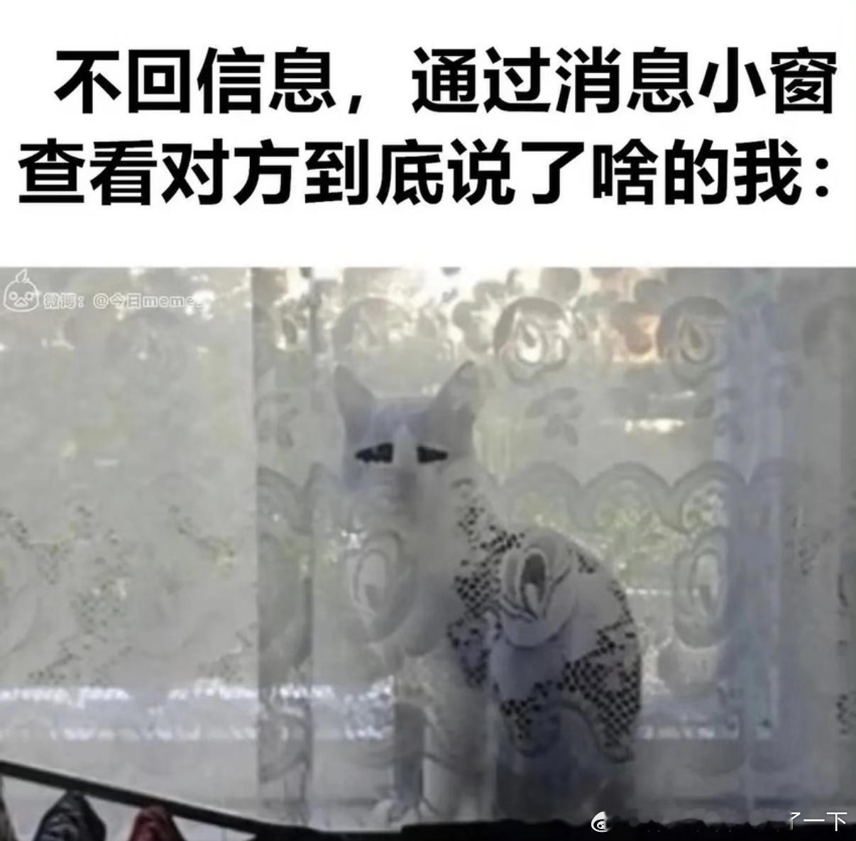 5485哈哈哈演我​​​