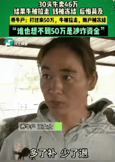 太冤了~河南开封王女士卖了30头牛46万，买家直接打过来50万。结果这50万直接