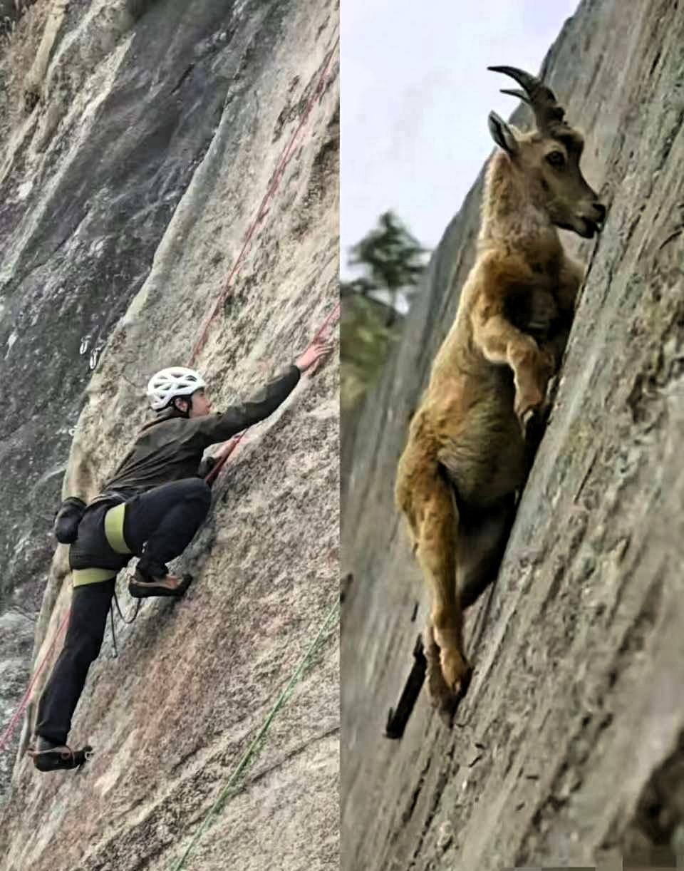 王一博明明才28岁，有着能轻松靠颜值立足娱乐圈的出众外形，却偏偏对各类极限运动格