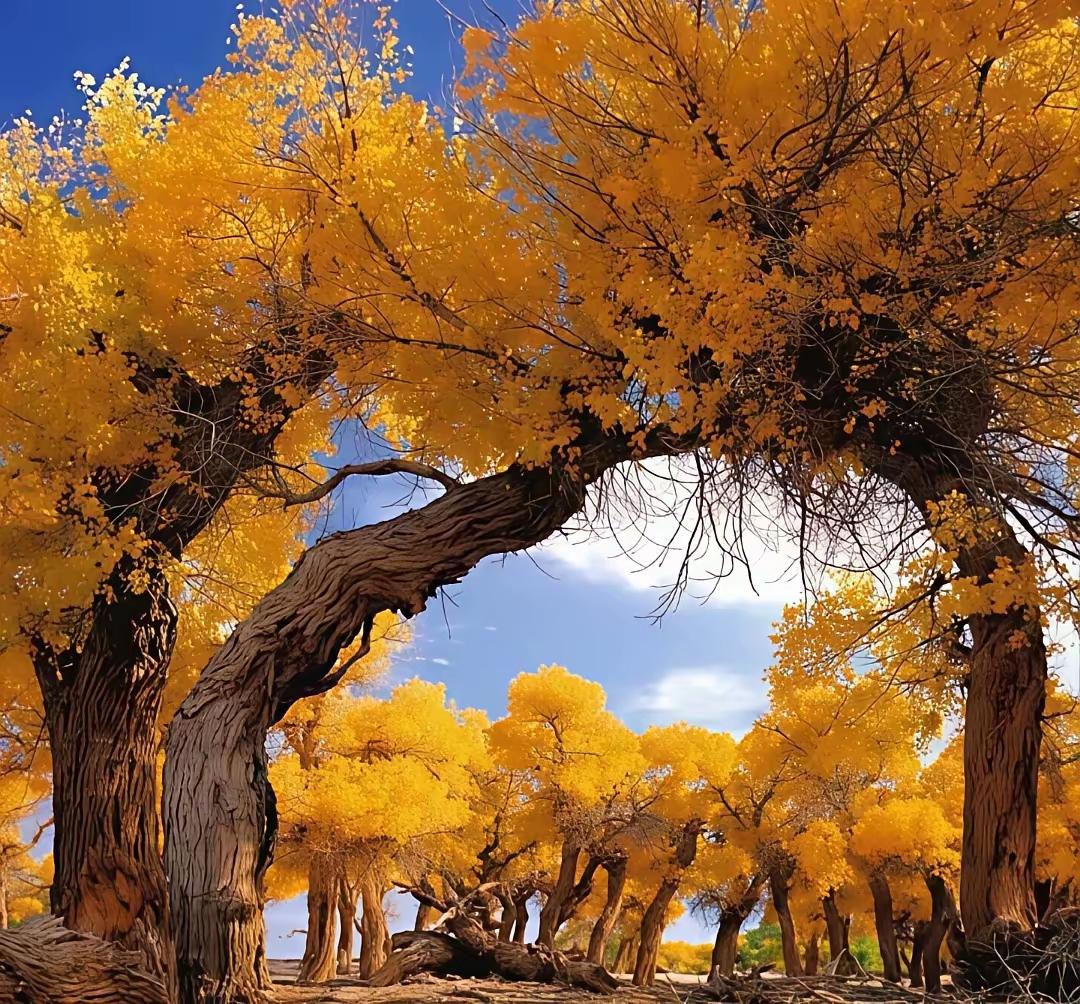 活得长寿的，往往是这四种人。不是迷信，是规律闲来翻看长辈留下的养生语录，曾