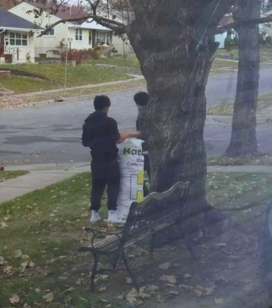 美国故事两个孩子敲开我的门，说要帮我耙整个院子，总共只要10美元——而我接下来