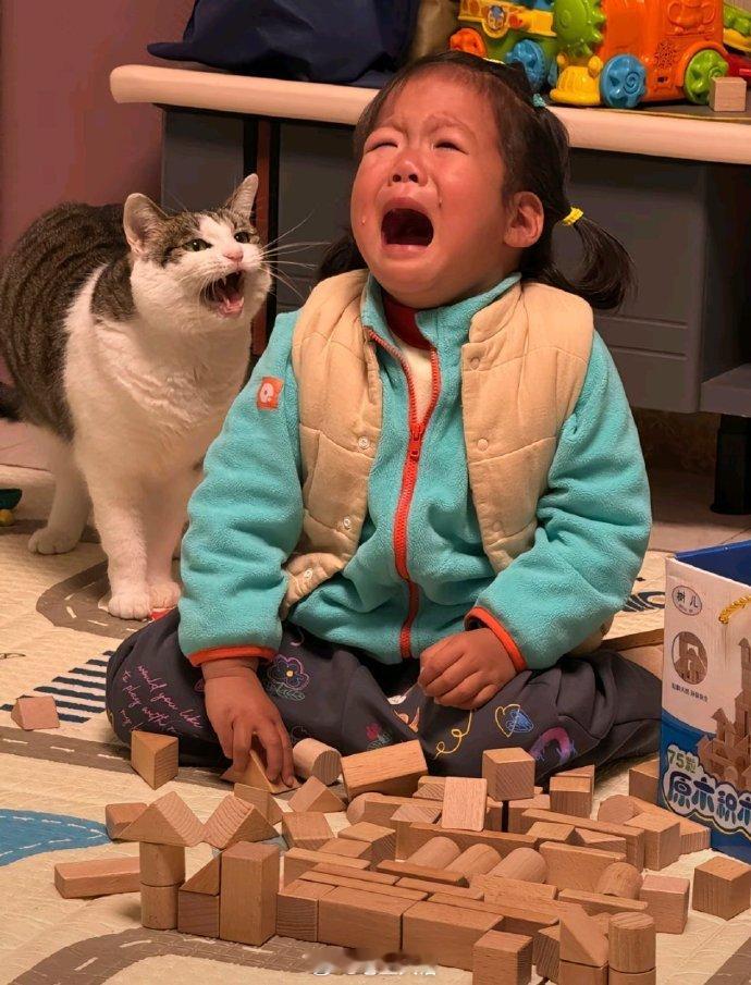 小猫：你能不能不要再哭辣！！​​​