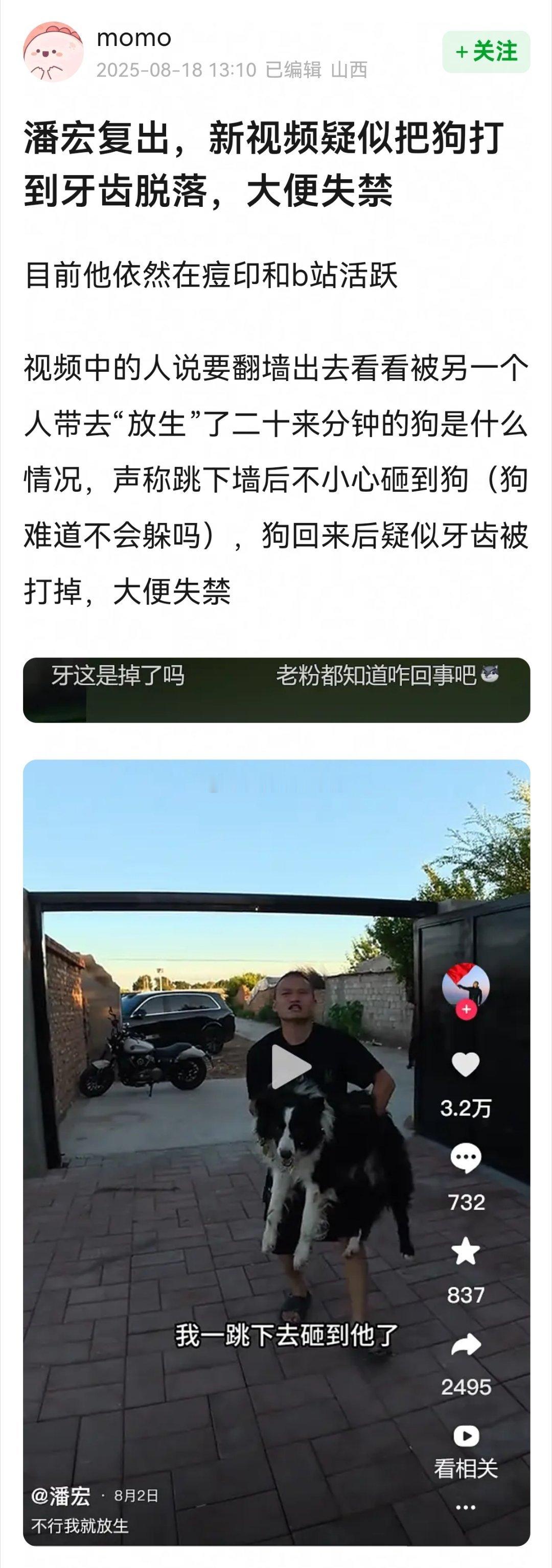 搬个瓜→潘宏复出，新视频疑似把狗打到牙齿脱落，大便失禁🌚🌚​​​