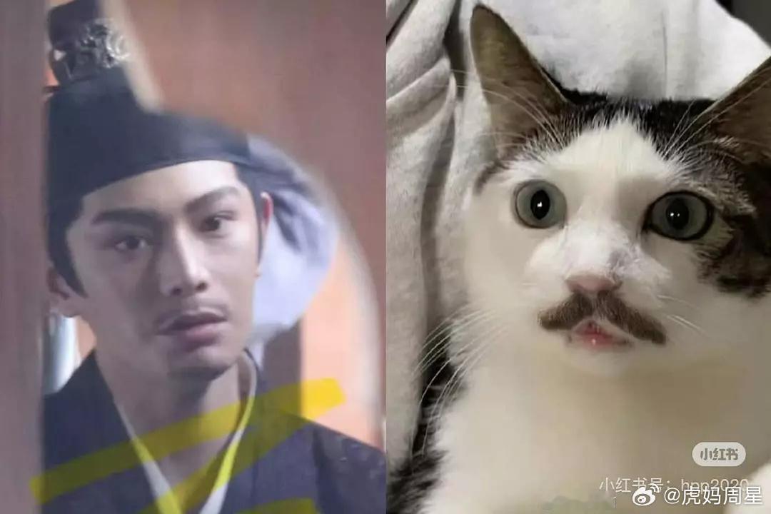 小丁咪[笑着哭]​​​