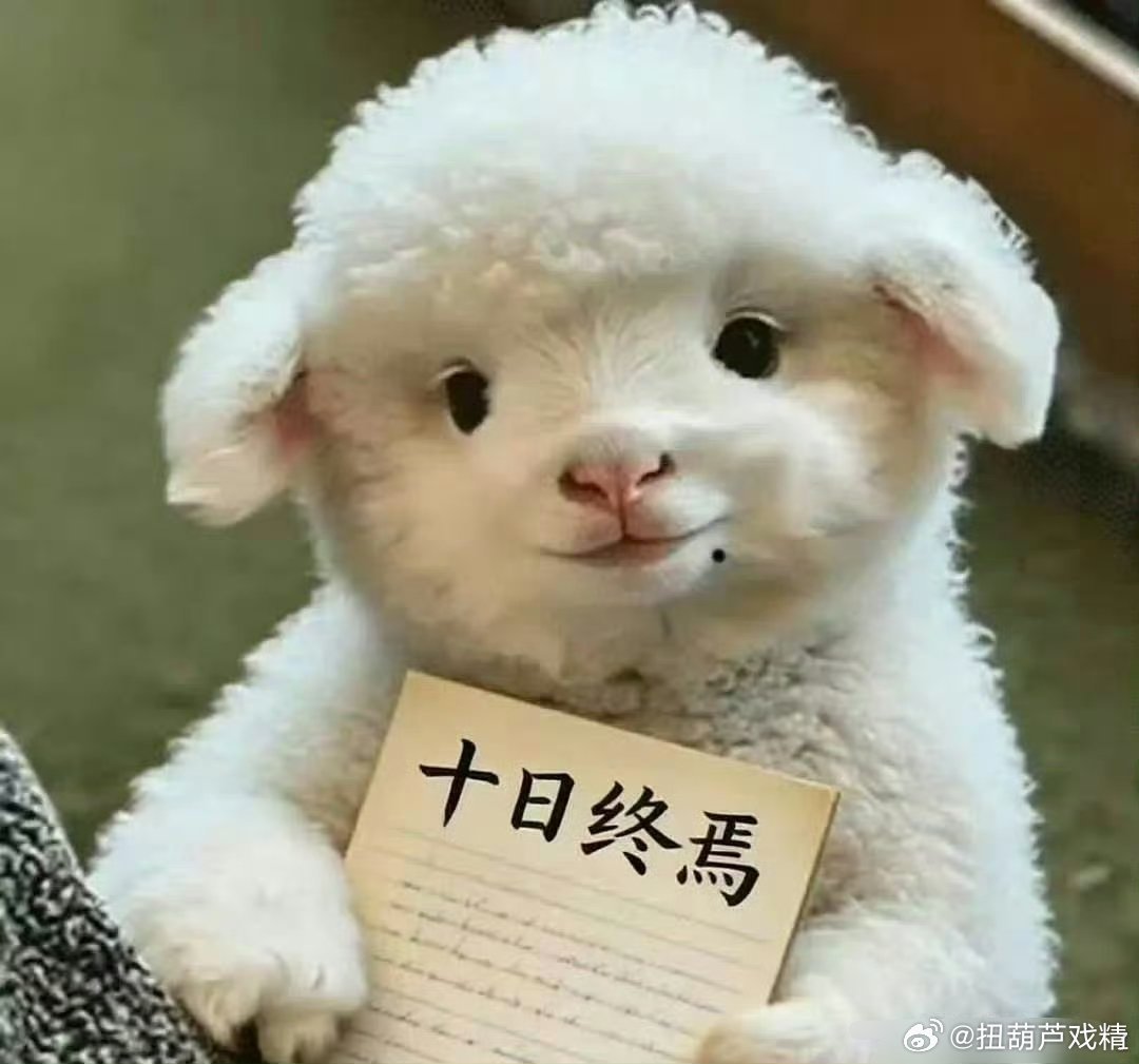 肖战出发青岛嘿嘿嘿嘿，是来青岛哟，隔得我很近哟虾爬子季度吧，我马上收拾收拾化化妆