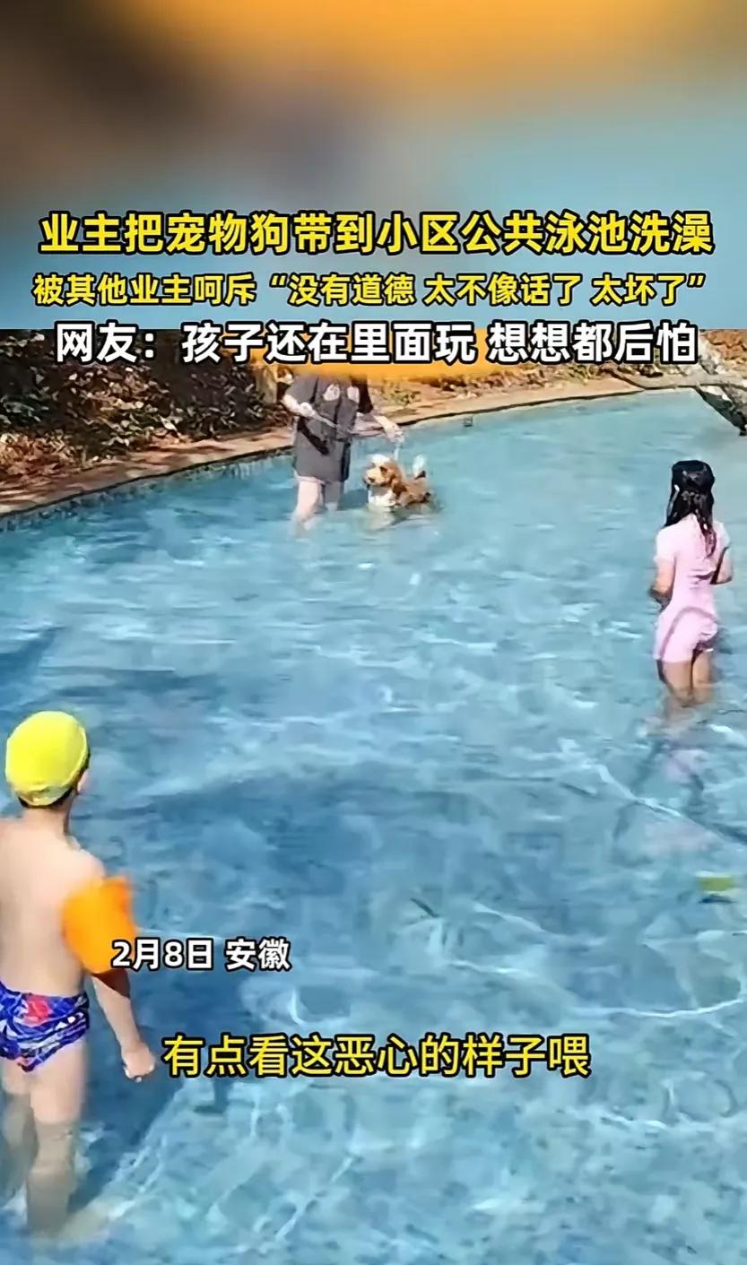 太无语了！安徽，一女子带着自家宠物狗到小区楼下公共泳池泡澡，吓得泳池里的小孩不敢