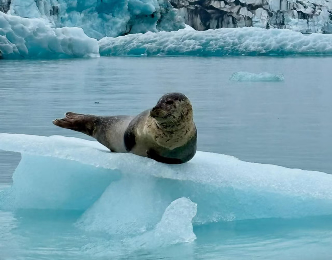 冰岛｜Jökulsárlón冰川湖北欧的蓝宝石💙，一秒掉进童话！凌晨出发，天