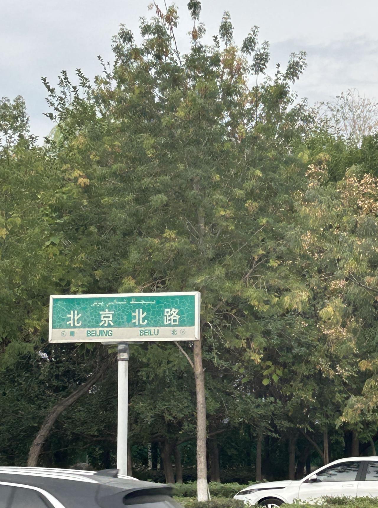 昨晚入住乌鲁木齐天山机场附近（开车走凹字上半边20分钟）的“鼎福酒店”。从机场