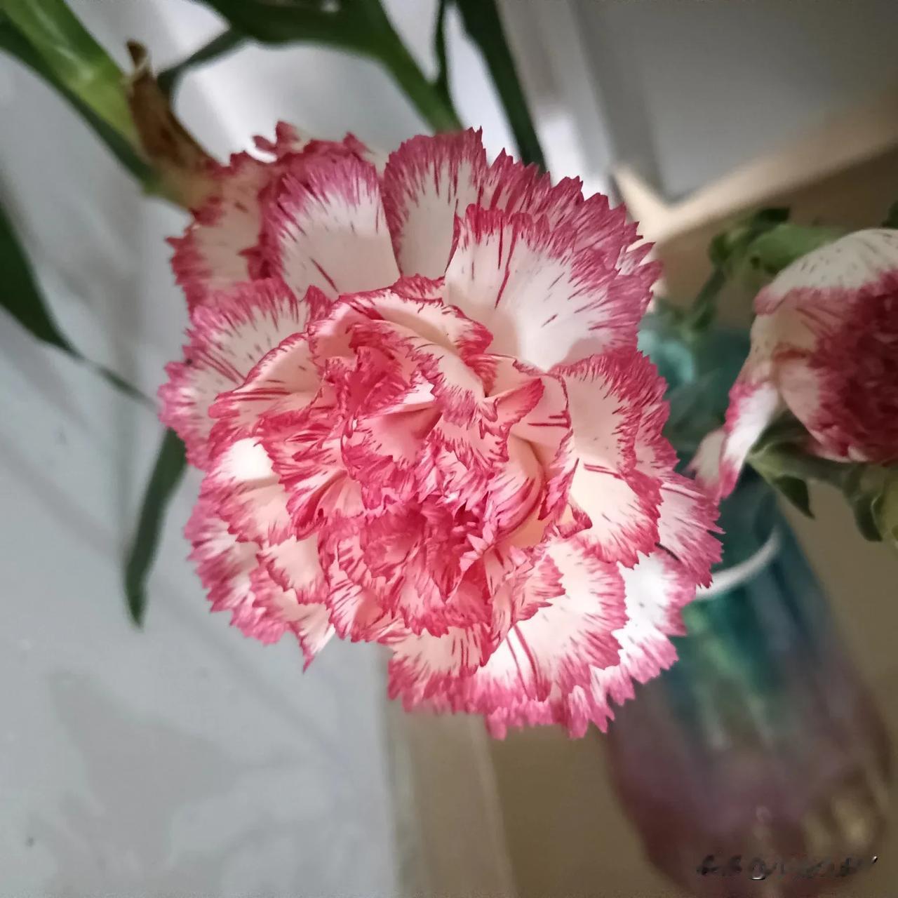 我不能和公公婆婆同住一屋檐下。冯唐说过：他不能和母亲同处一屋檐下，他们住在相