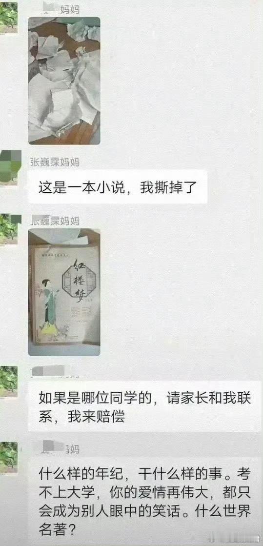 是谁告诉她这本书讲的是爱情？​​​