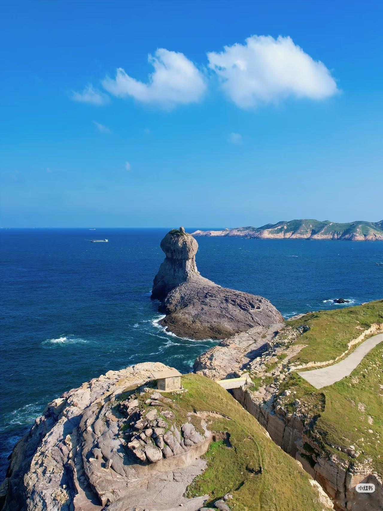 真的不是国外！是福建不为人知的避世海岛！！！.山海相间牛羊成群坐在草坪上