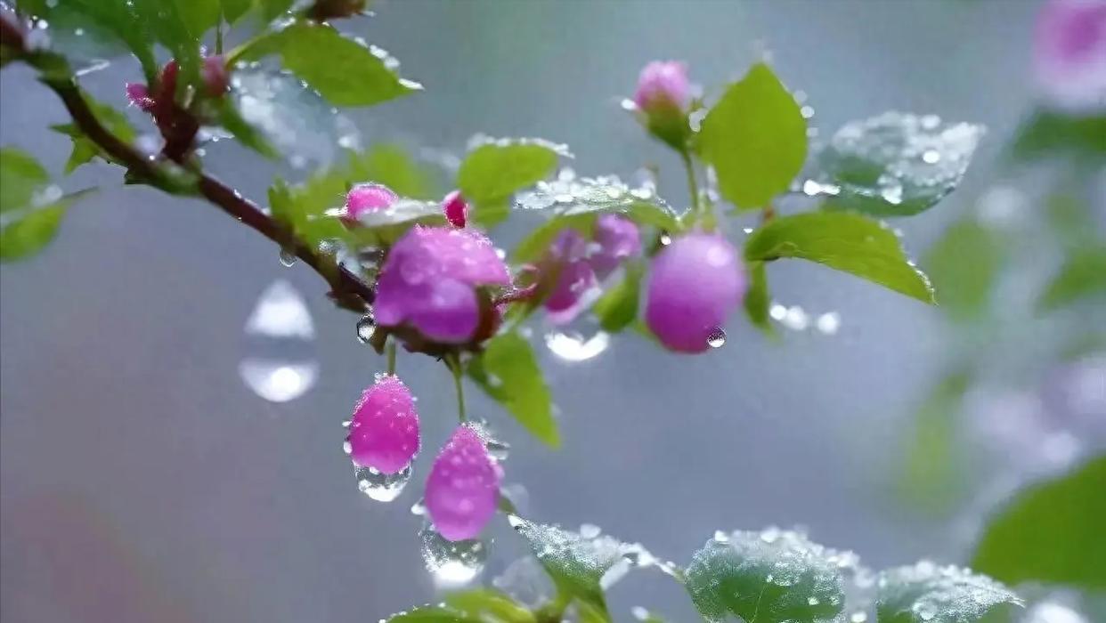 昨天晚饭时，我说3000多退休金到账了，女儿说：“就3000多块钱，够干啥？”我