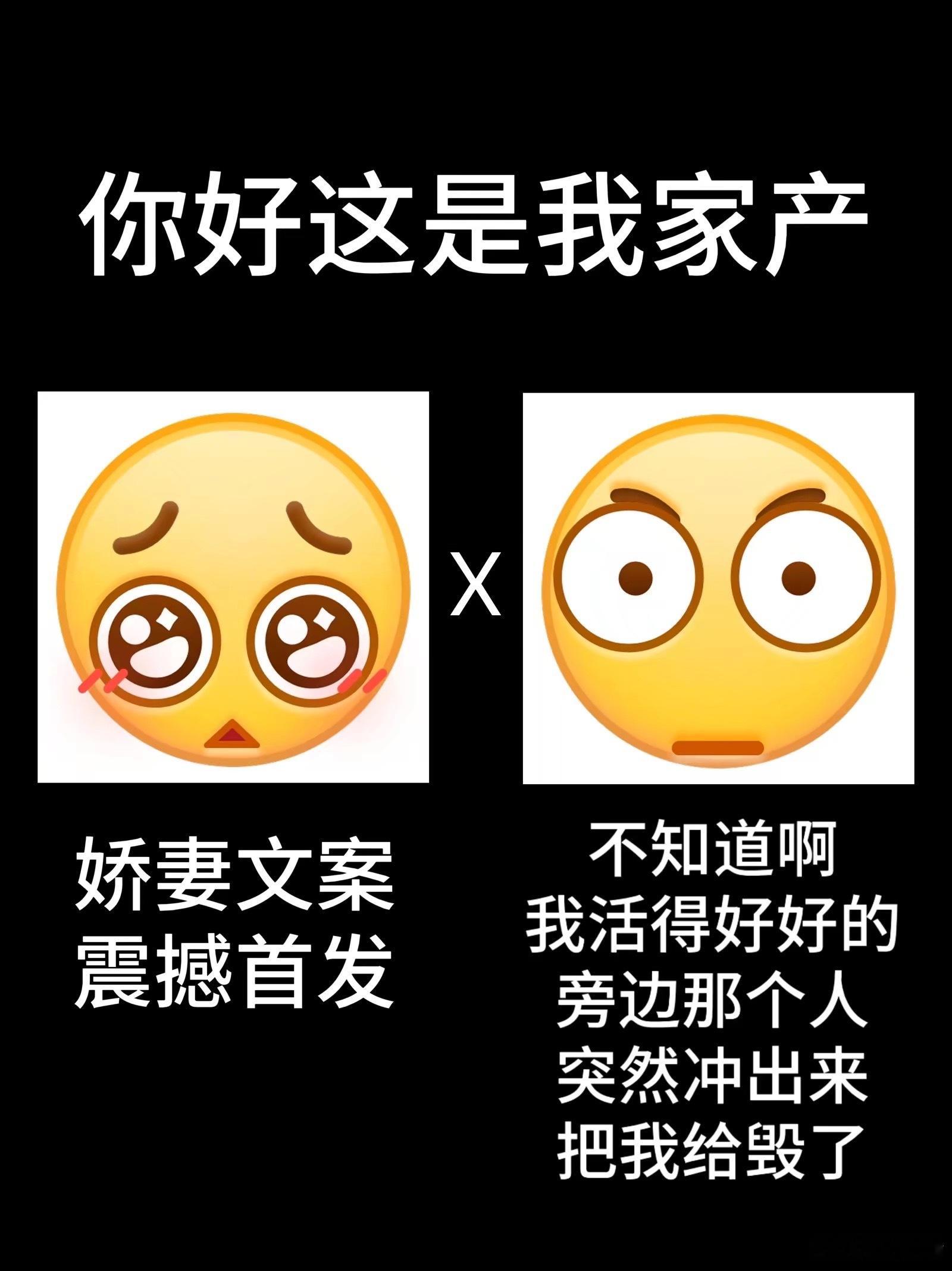 我脑子里顿时出现好多对名字