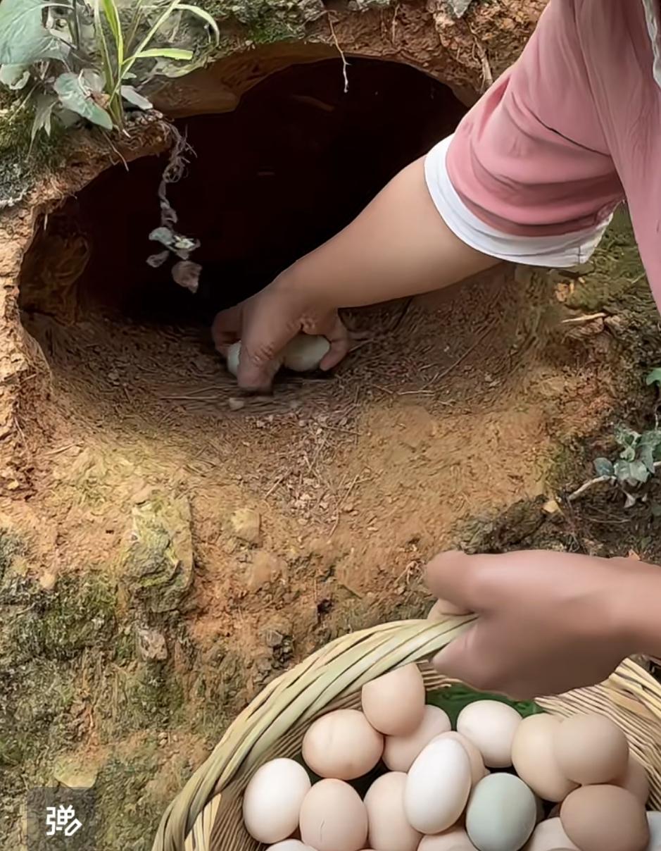 ZX消息！姐姐们家人们大好消息啊，早晨好，早晨3点，姗姗睡不着了，听说木考这边有