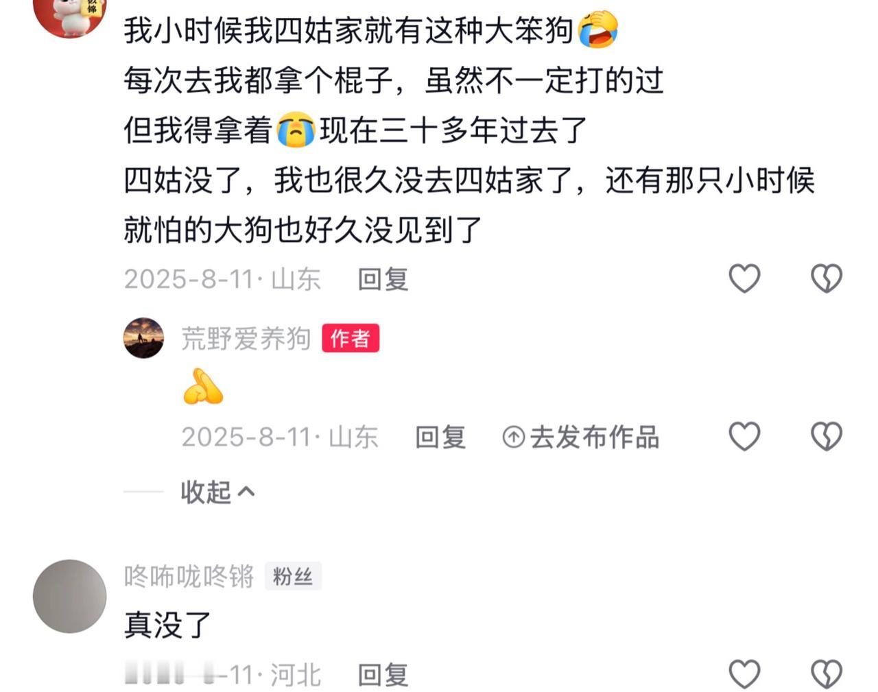 每次看到山东的网友回忆起小时候见到的山东笨狗的文字，我都很感动，尤其是那句：“四