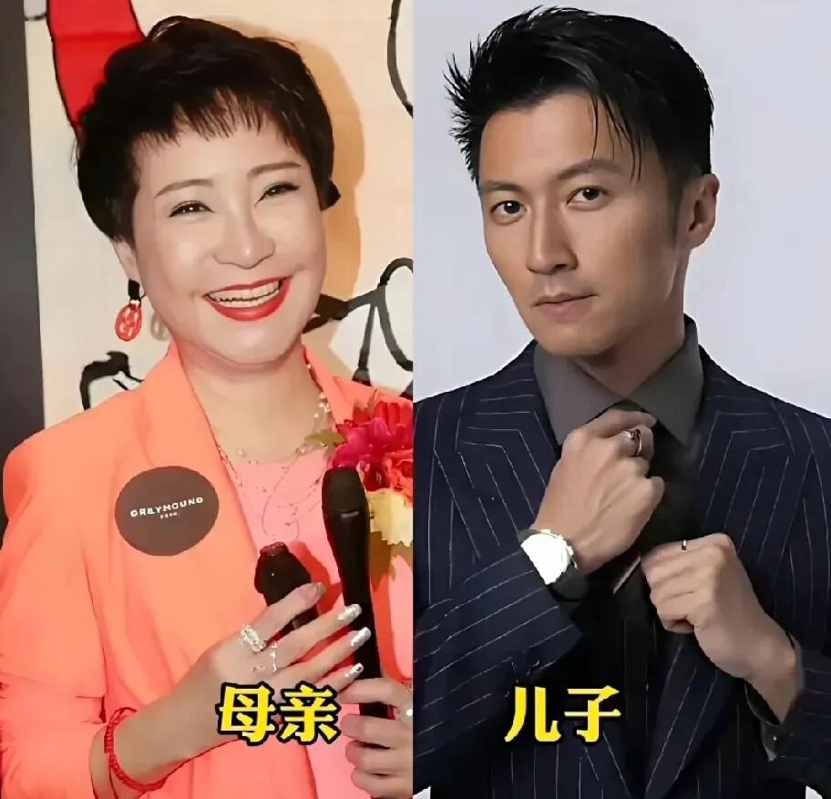有组图在网上传了挺久，明星和妈的对比照，一块拼图左边妈右边儿子，不看字当找茬游戏