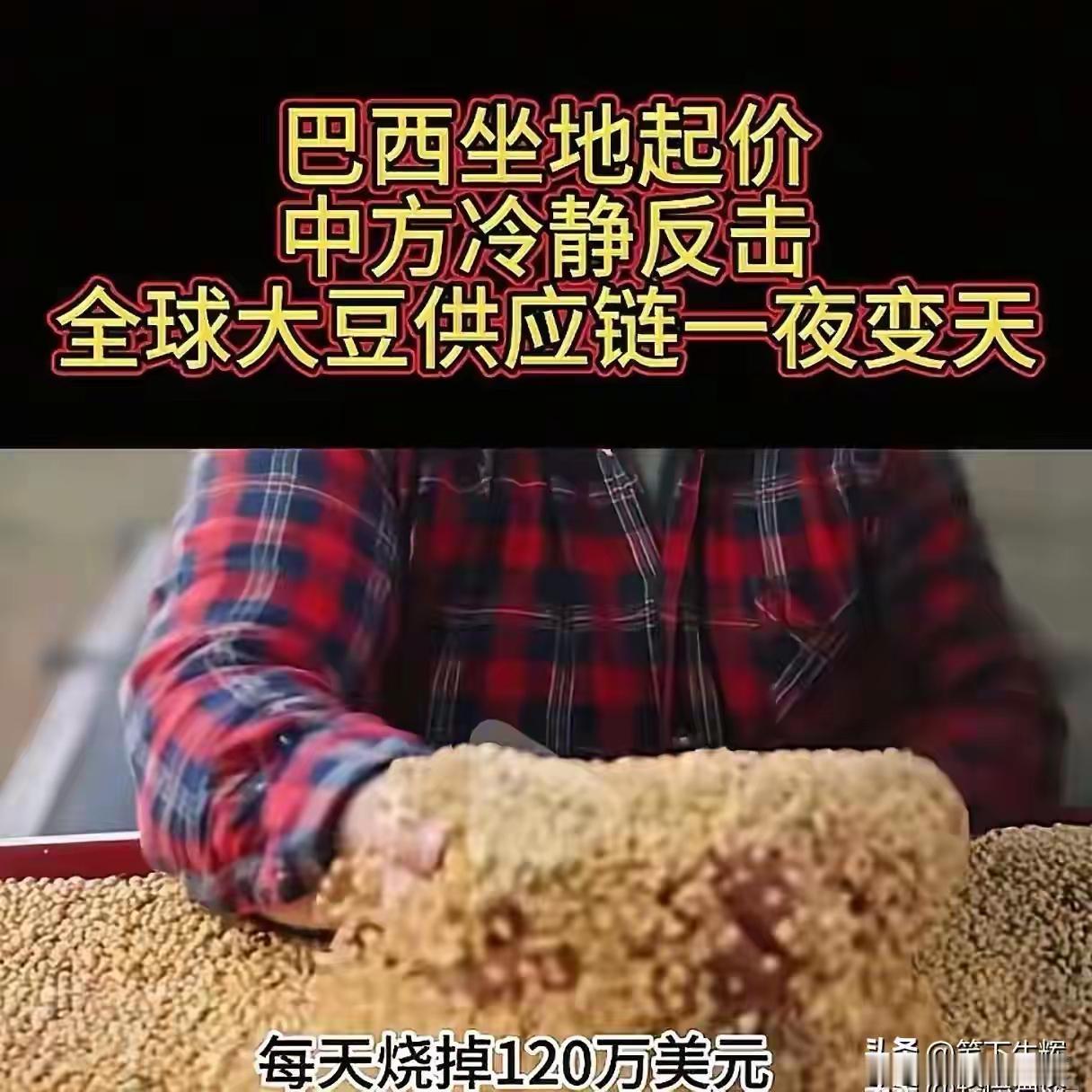 全世界都以为中国是傻瓜,人傻钱多,都在等机会狠狠敲诈中国一笔,巴西大豆握着中国7