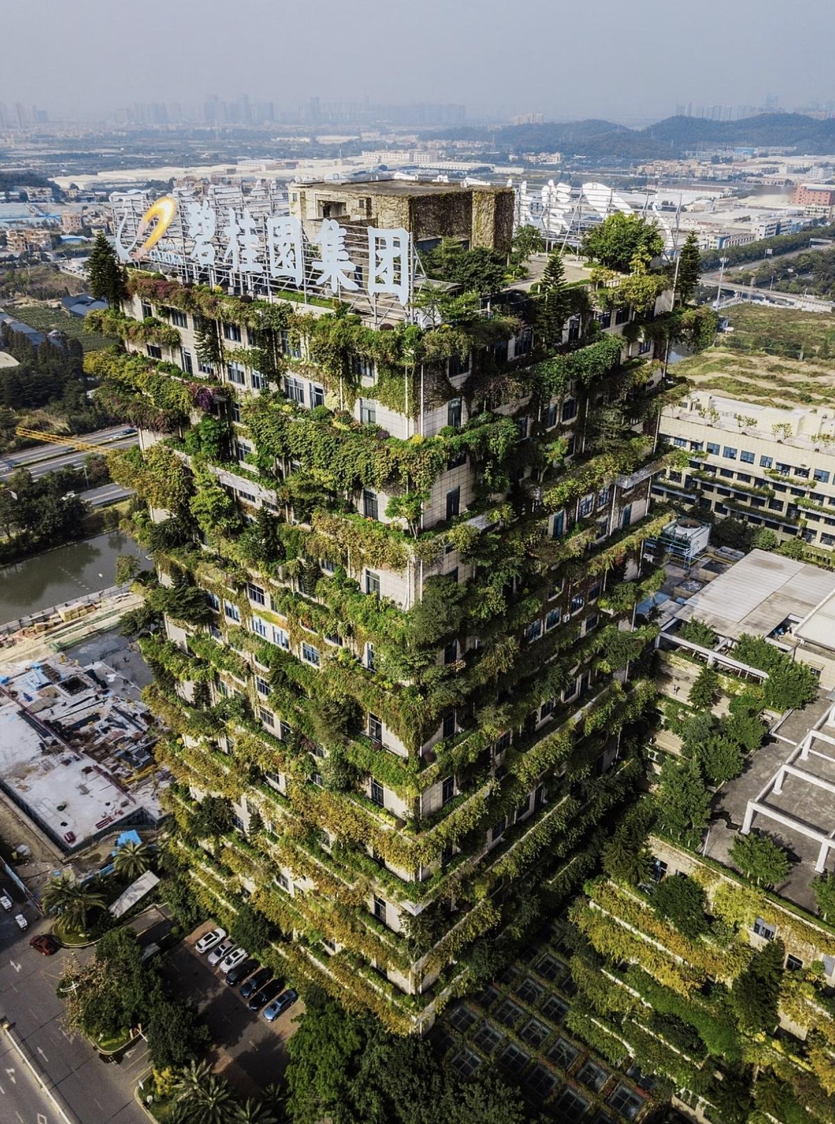 碧桂园逃过一劫？法院突然撤掉清盘申请，背后藏着什么信号？最近，香港高等法院一