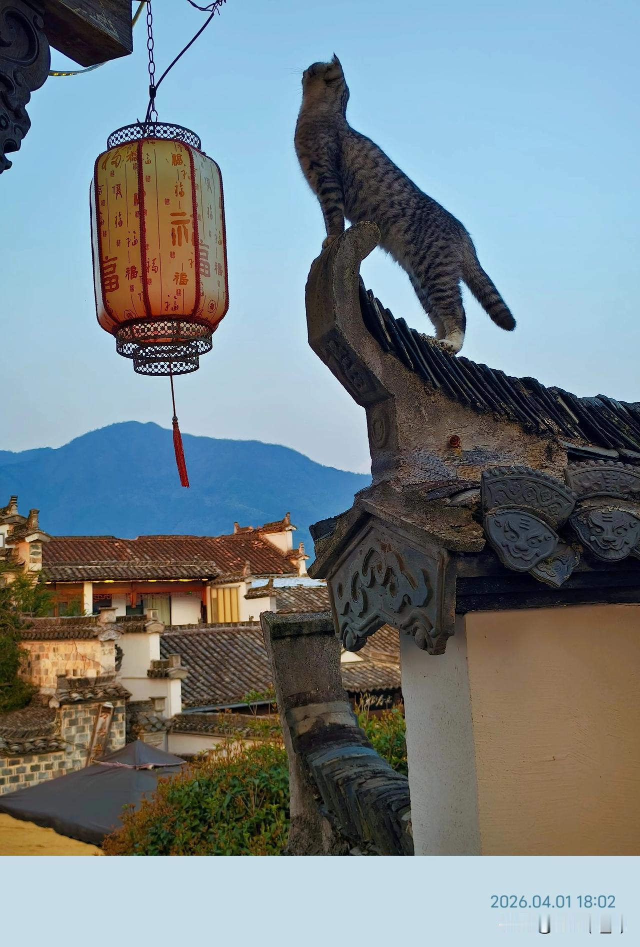 昨天和一朋友聊天，聊到一种现代人常有的微妙心态。比如在失意低落、陷入困境时，