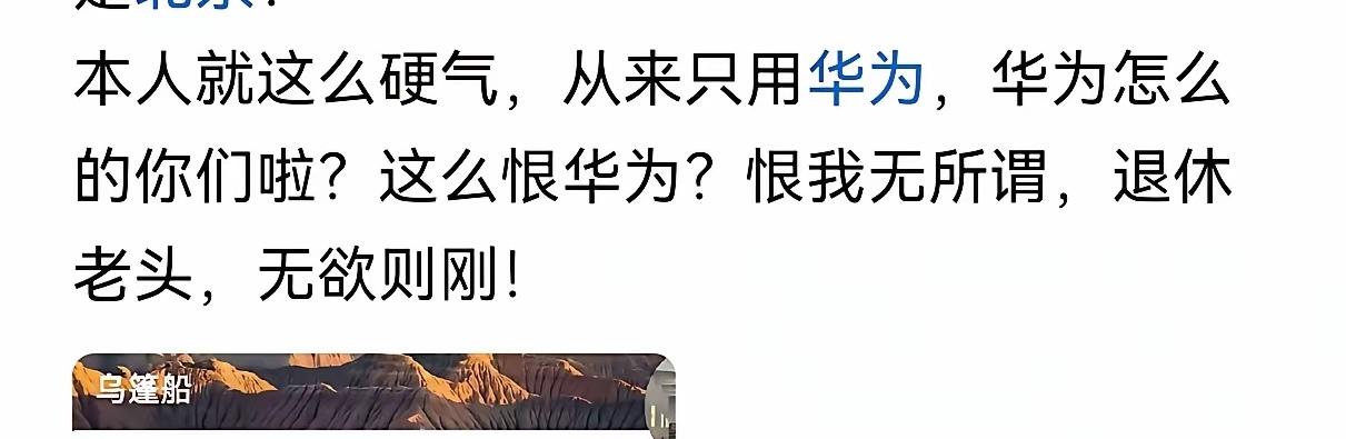 如果用某款手机就能证明是否爱国，那么我应该是最爱国的，因为我用的是华为手机，而