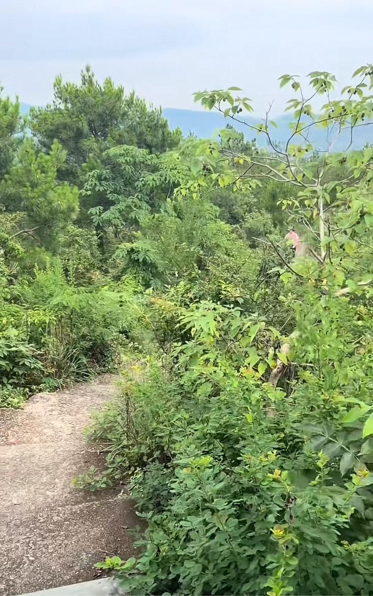 近日浙江，两名女子相约去爬山，在这过程中，她们在山上凉亭里遇到一个人被打伤了躺在