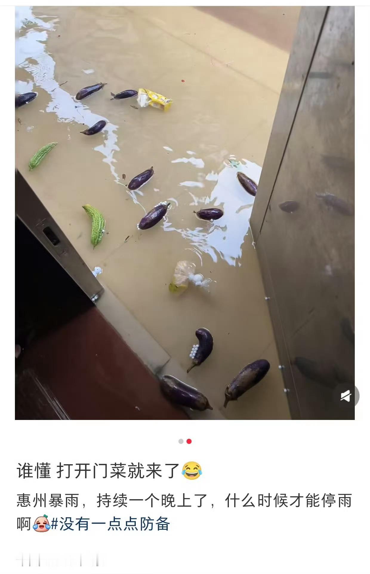 深圳暴雨后路面现大量罗非鱼哈哈，菜有了，🐟有了，晚上可以凑一桌了​​