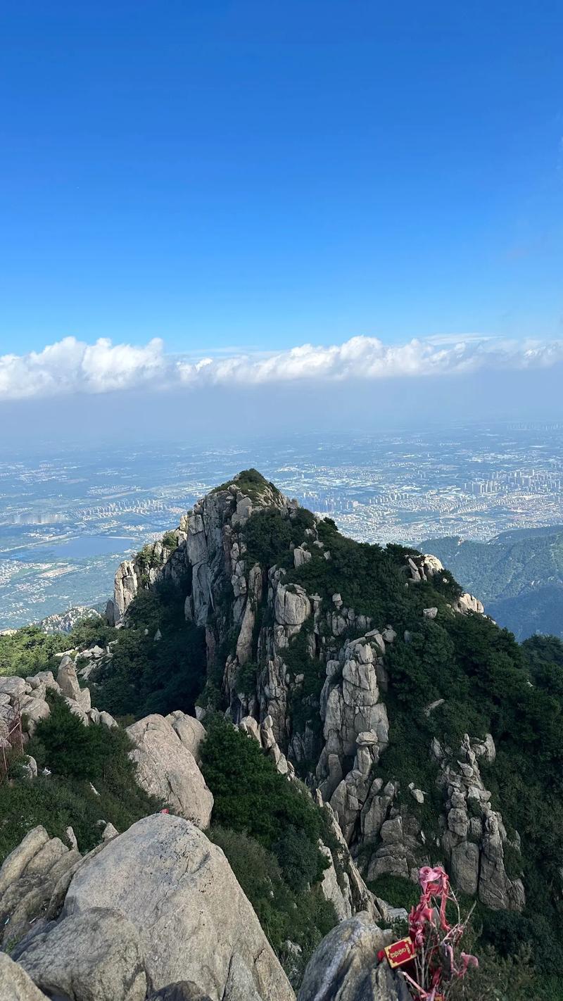 汉灵帝刘宏去世前，将幼子刘协托付给黄门宦官上军校尉蹇硕。汉灵帝刘宏在世的最后