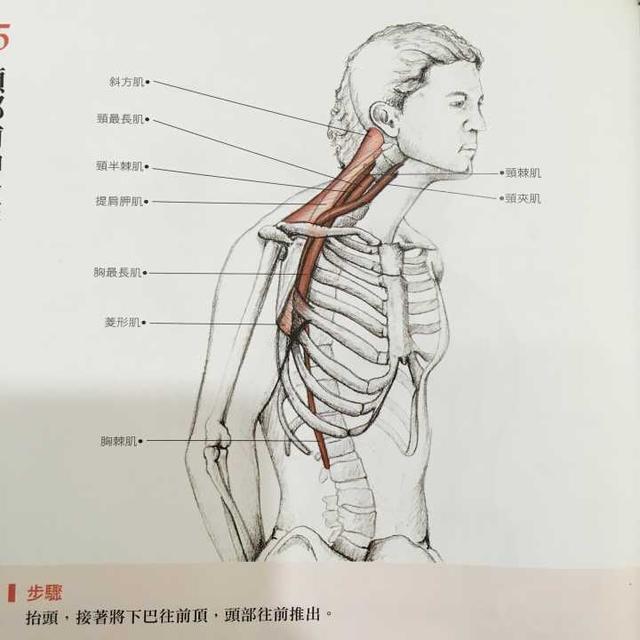 长期低头玩手机有瘫痪风险, 花3分钟拉伸颈椎受益无穷