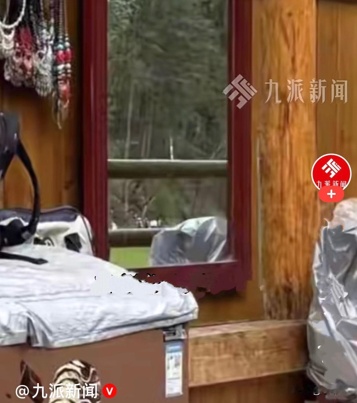 近日，一位女游客在九寨沟游玩，在箭竹海景点下车后溜达逛景点，途中路过一处烤肠小吃