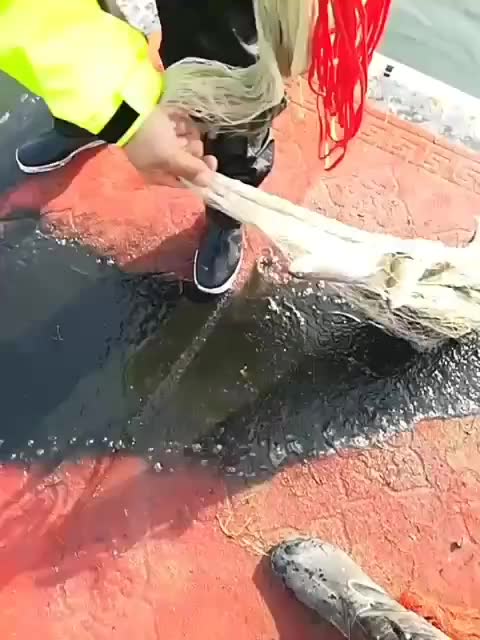 苏州KFC袁荣华[www.gzyxj8.com]区相城店冠挑