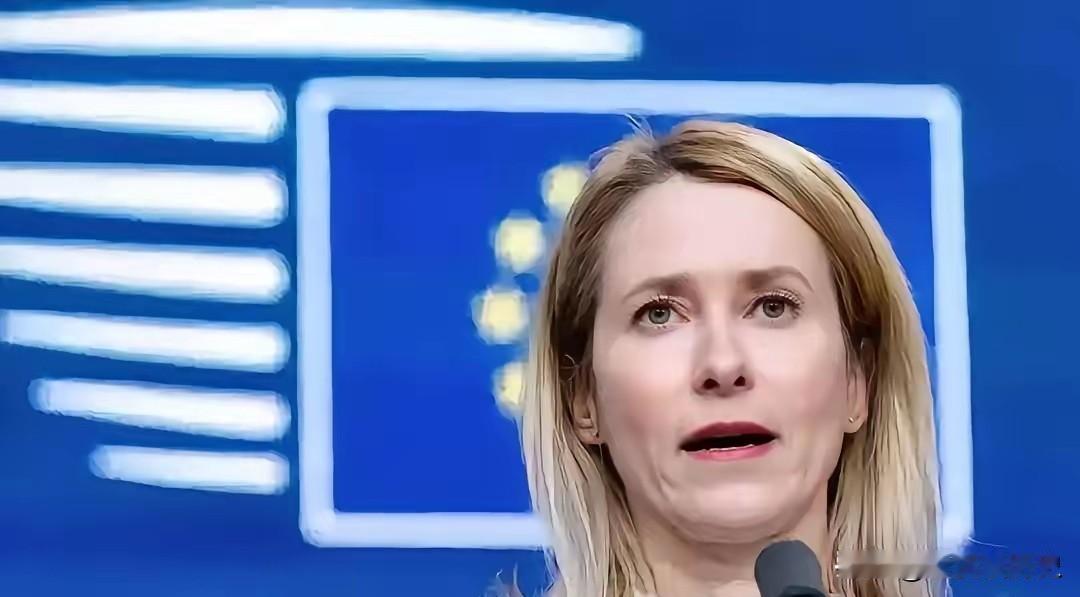 欧洲对华强硬派、欧盟外长卡拉斯再次一语惊人。她在召开欧盟各国外长会之后表示：“目