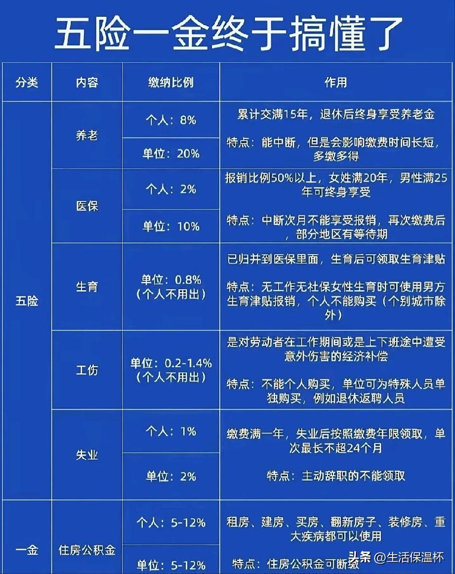 一文读懂五险一金！缴费比例与实用权益全梳理引热议。养老个人缴8%、单位20%，缴