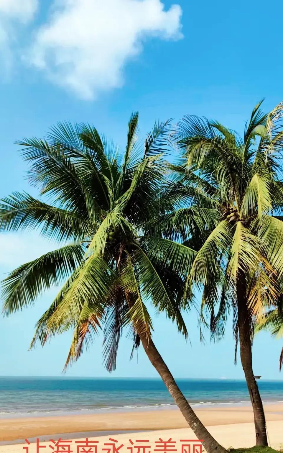 三亚春节酒店一晚过万，民宿也飙到三千多，网友晒订单骂声一片。官方通报出来，说