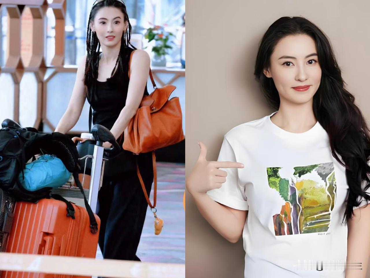 听完张柏芝那段嘶吼的录音，哪怕我是个外人，心里都跟着哆嗦。这哪里是什么娱