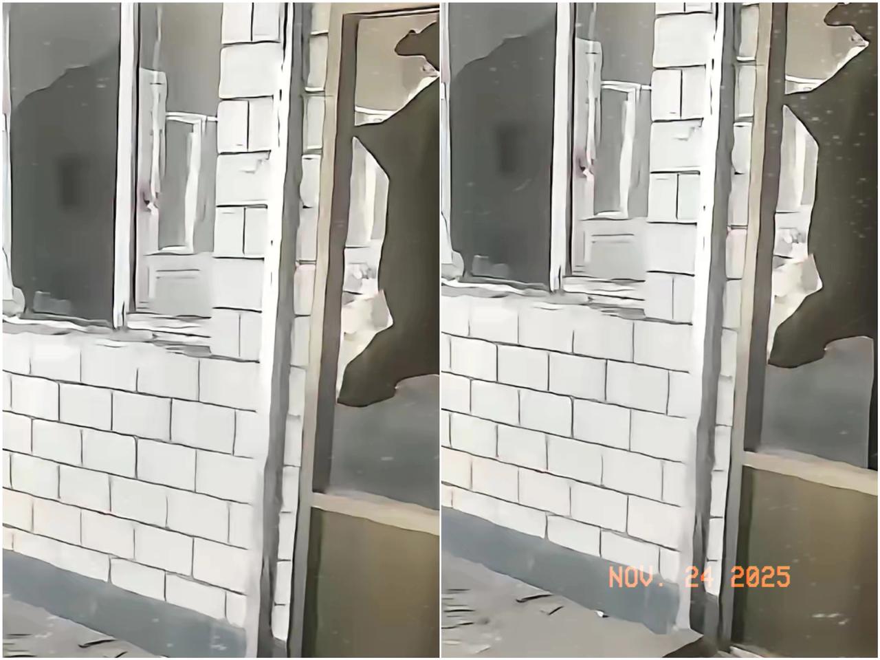 山西狗咬人事件儿，让很多人最不明白的事情居然是：“所有的证据都证明是郭家非法