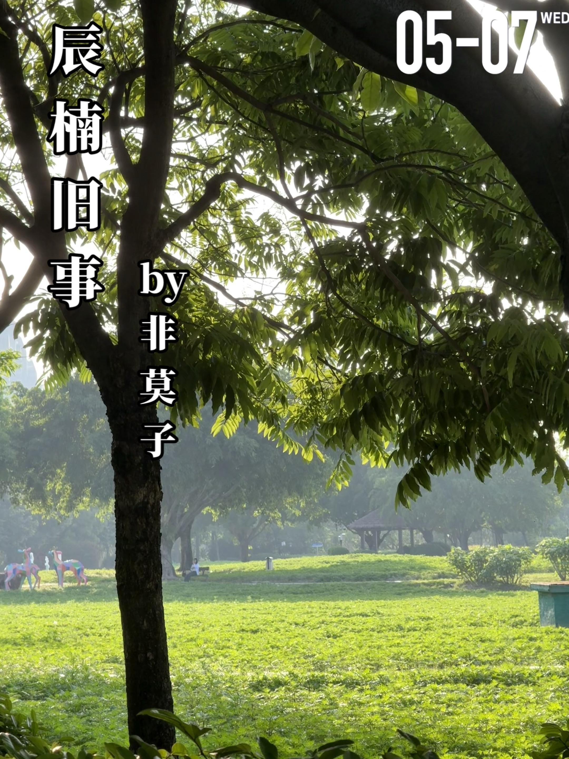 《辰楠旧事》by非莫子。夏楠和顾辰西是从小在一个大院里长大的青梅竹马...