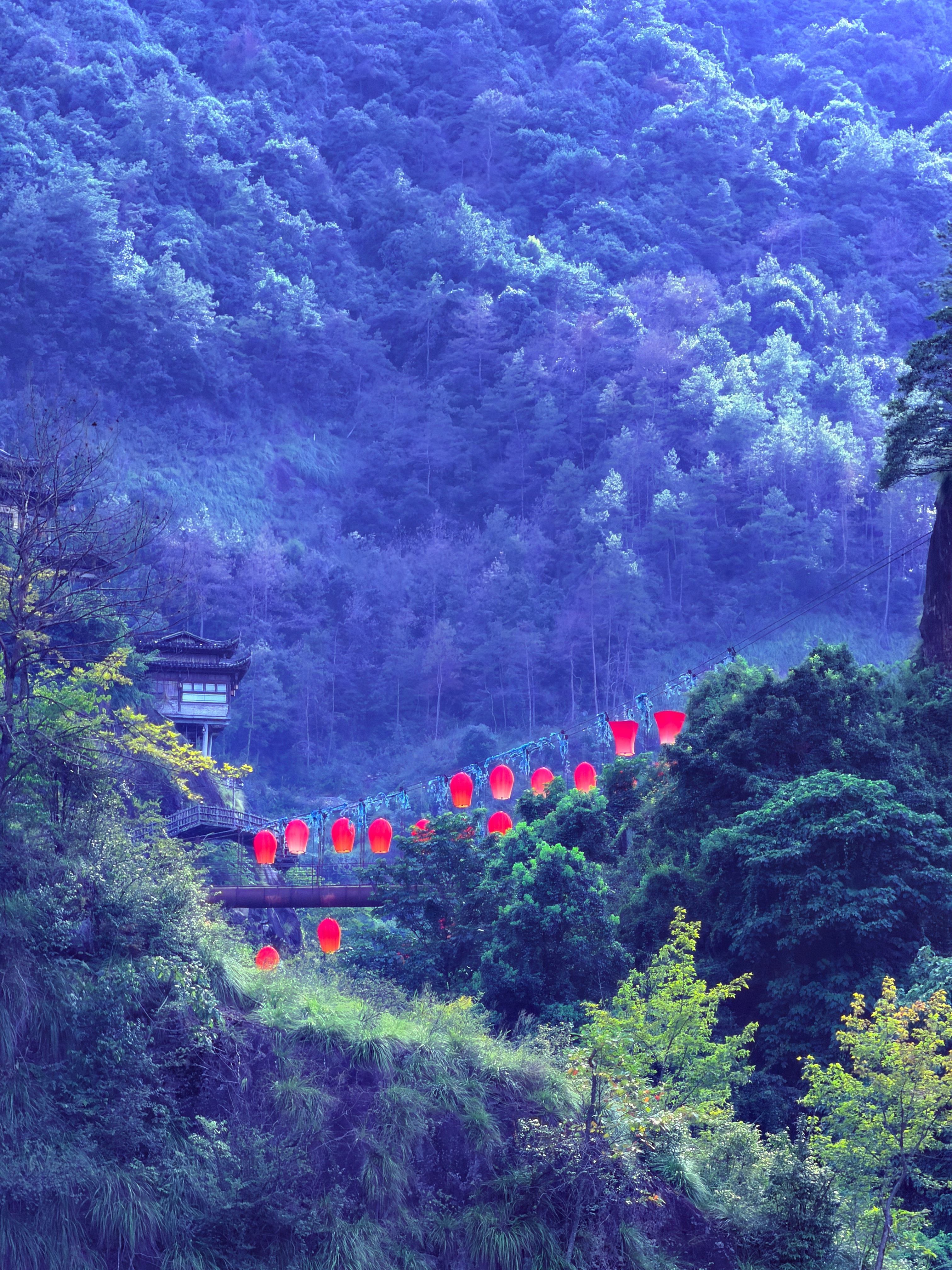 一半山野紫色花海。一半人间烟火​​​