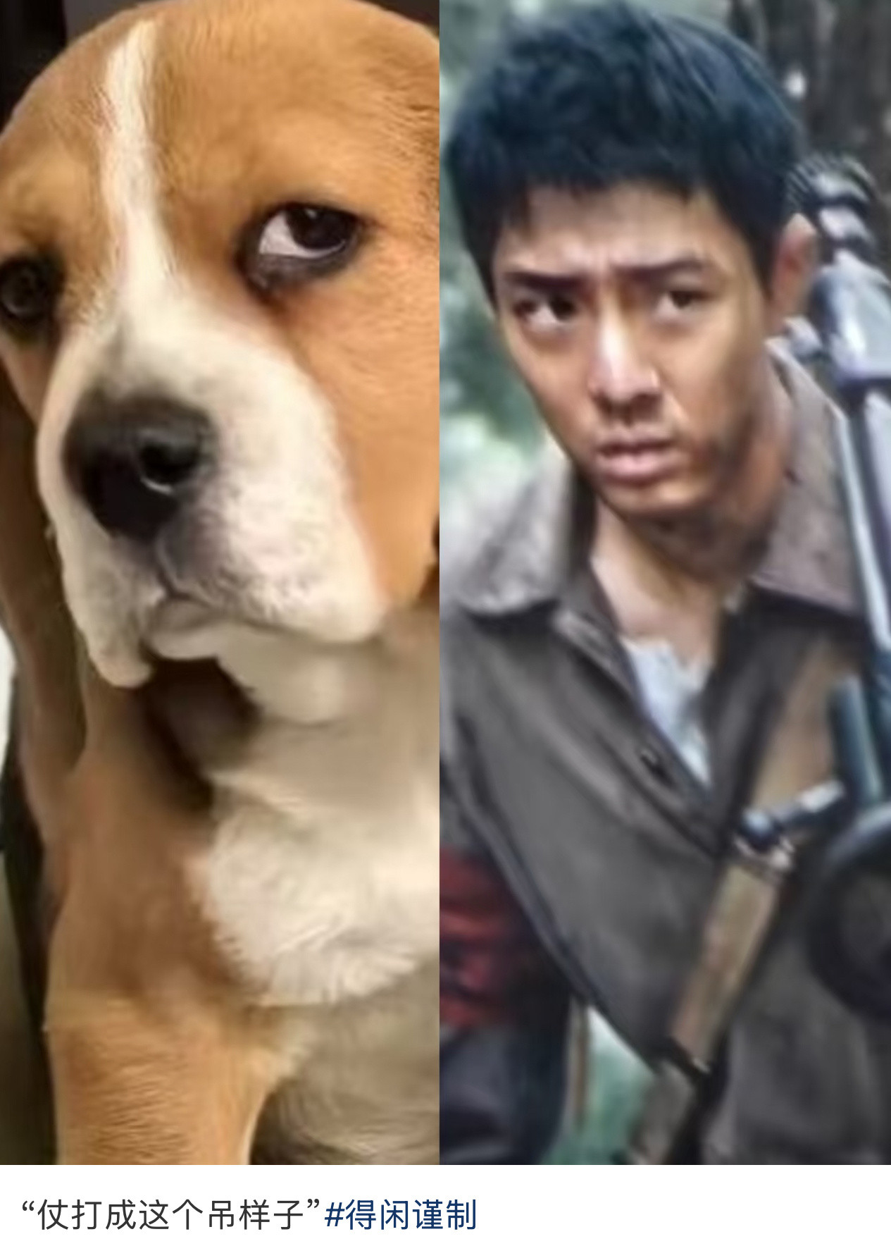 得闲谨制男主的脚没有嘴臭，行走的弹幕。“什么吊兵打什么吊仗”“仗打成这吊样子”