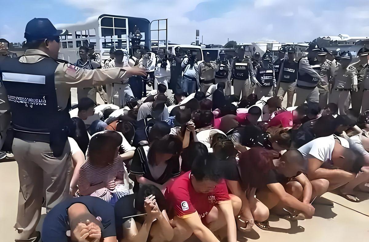 一位社会知名人士锐评说：电诈这个词是中国专家发明的！实际上是个贩卖器官，强奸，杀