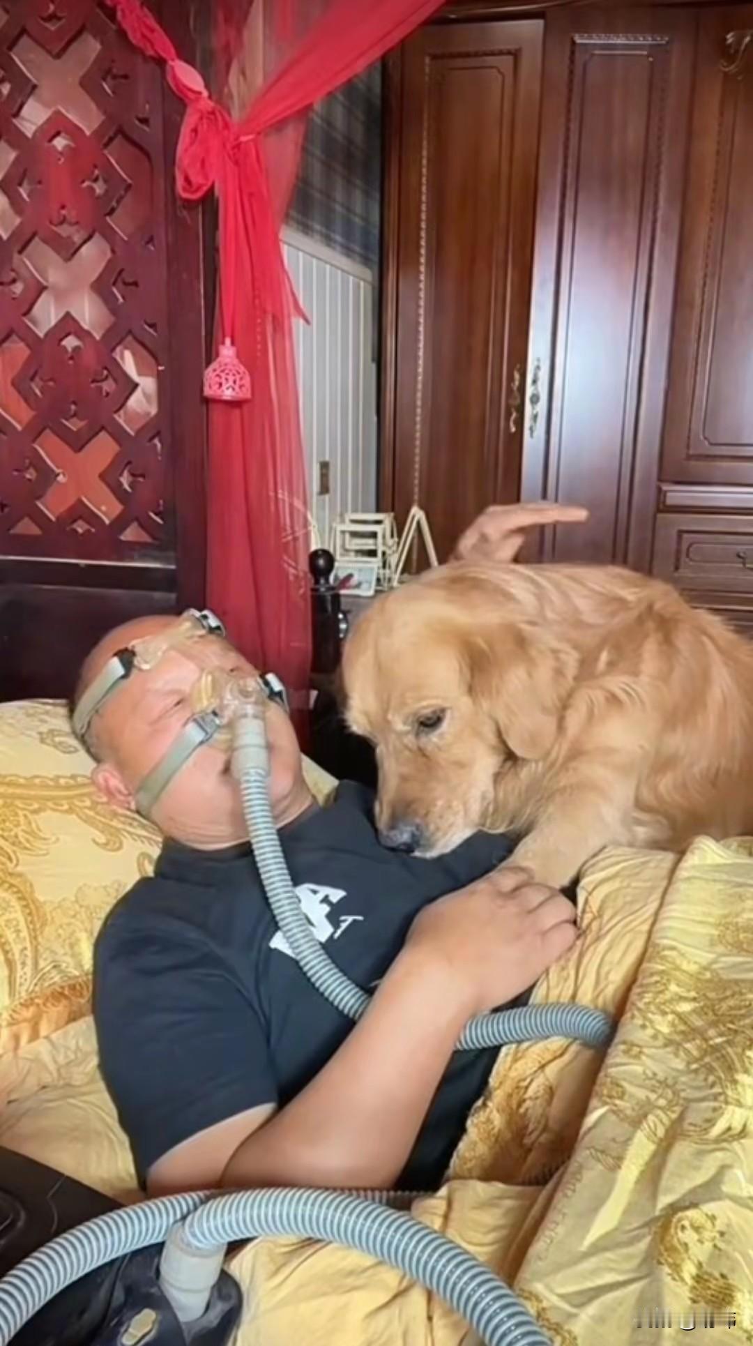 泪目了！一位大哥养了一只狗狗，平时就非常疼爱它，都是当做孩子来养的，狗狗也非常依