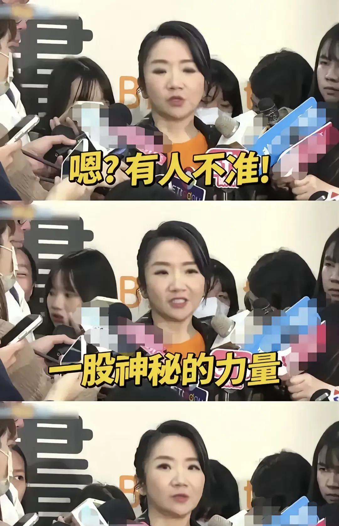 陶晶莹惨遭两岸封杀！昔日综艺女王因立场模糊自毁前程，如今哭诉无门！