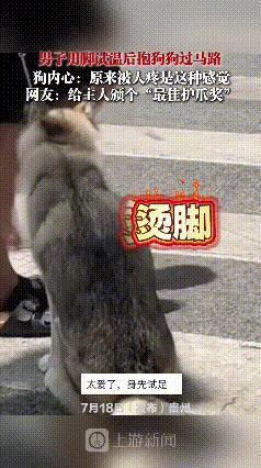 刷到这段视频，瞬间被触动了。大热天的柏油路晒得发烫，主人先把脚放上去试了试温度，